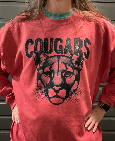 Cougars-Have 15 available!
