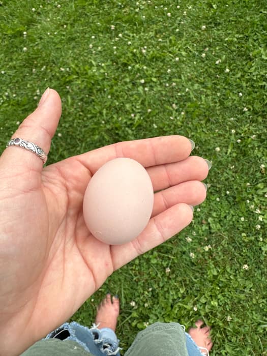 A pale brown egg held in an open hand