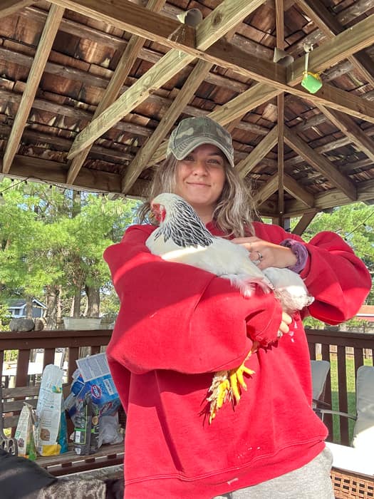 Holding a full-grown hen outdoors