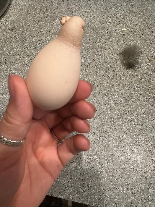 A misshapen egg held in one hand